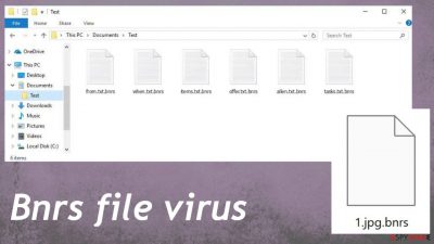 Bnrs ransomware
