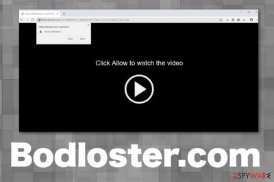 Bodloster.com