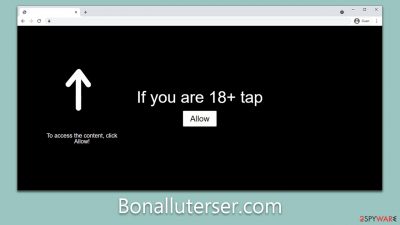 Bonalluterser.com