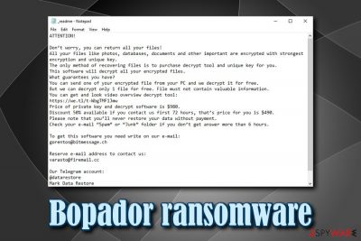 Bopador ransomware