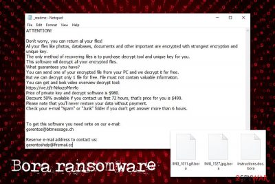 Bora ransomware