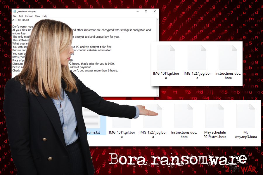 Bora ransomware virus