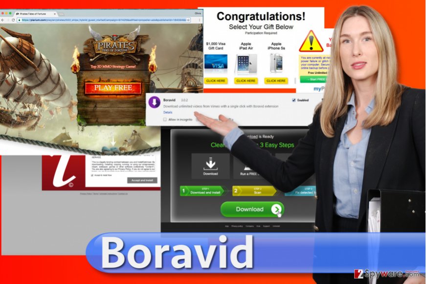 Boravid virus