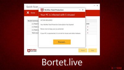 Bortet.live scam