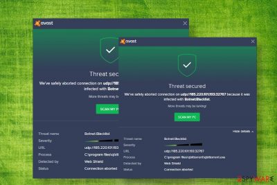 Botnet Blacklist Avast virus