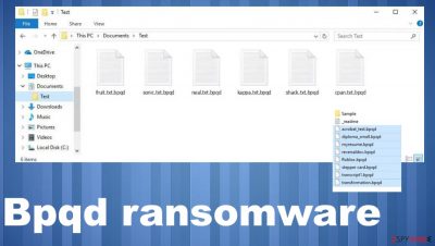 Bpqd file virus