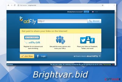 Brightvar.bid ad-supported program