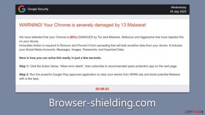 Browser-shielding.com