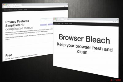 Browserbleach.com image