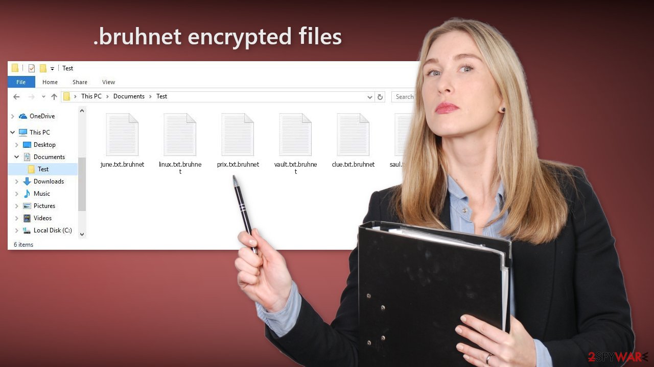 bruhnet encrypted files