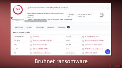 Bruhnet ransomware