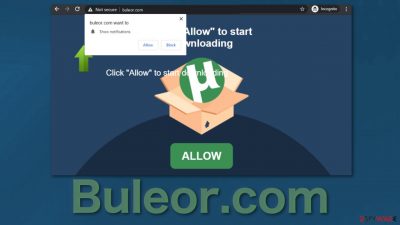 Buleor.com