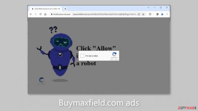 Buymaxfield.com ads