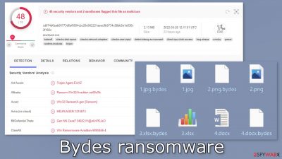 Bydes ransomware
