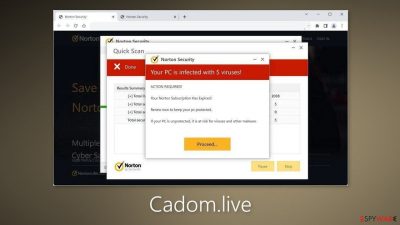 Cadom.live