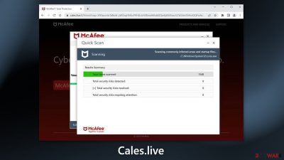 Cales.live