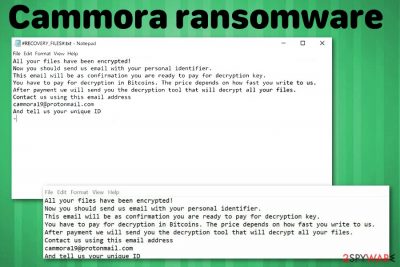 Cammora ransomware