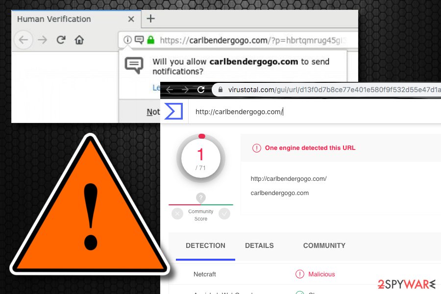 Carlbendergogo.com virus