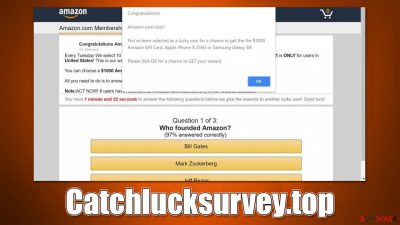 Catchlucksurvey.top