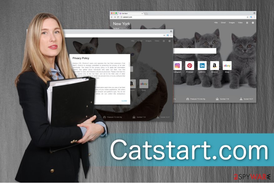 The illustration of Catstart.com