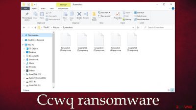 Ccwq ransomware