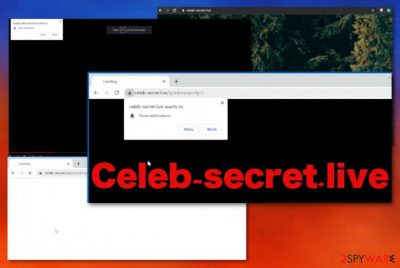 Celeb-secret.live