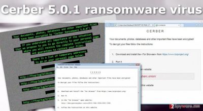 Illustration of the Cerber 5.0.1 ransomware virus