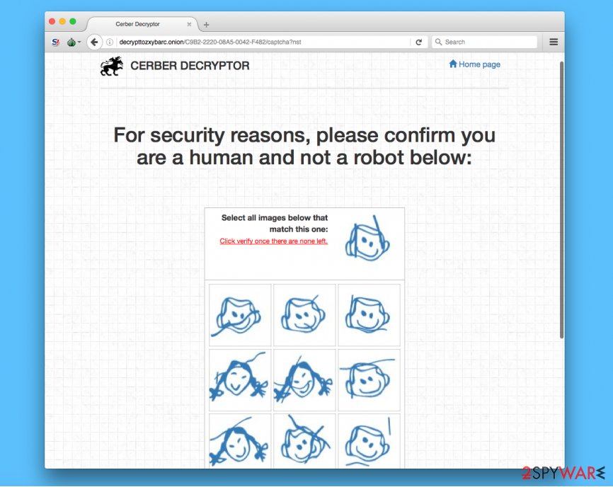 Verification page of Cerber Verification page of Cerber