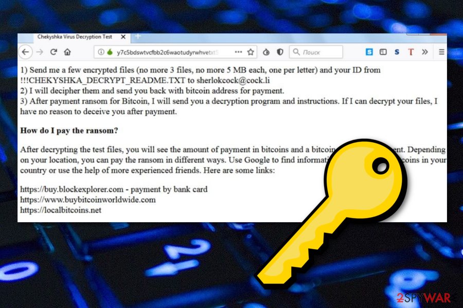 Chekyshka ransomware