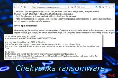 Chekyshka malware