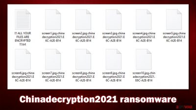 Chinadecryption2021 ransomware