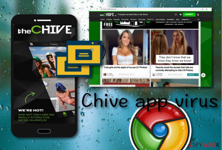 Chive pics the 26 theCHIVE