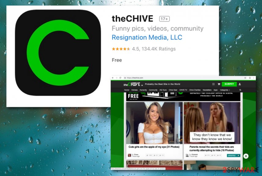 Chive App virus