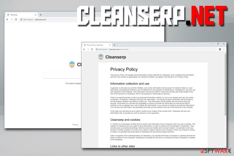 Cleanserp hijacker