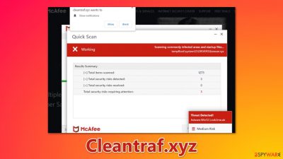 Cleantraf.xyz ads