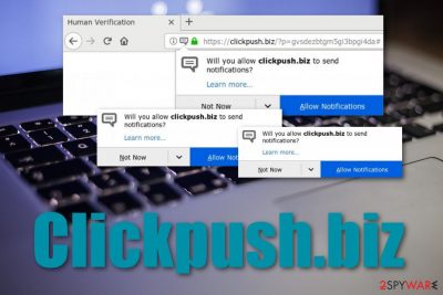 Clickpush.biz adware