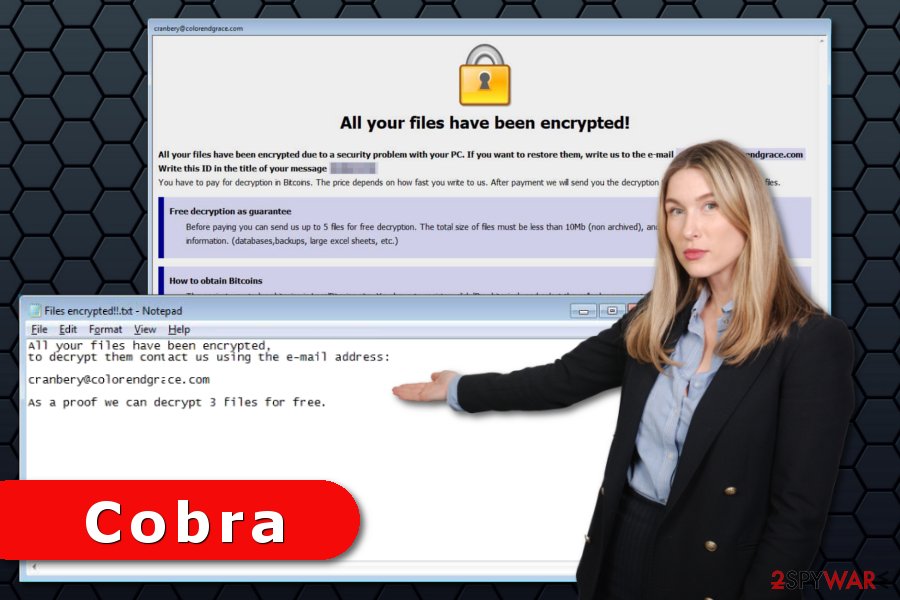 Cobra ransomware virus attack