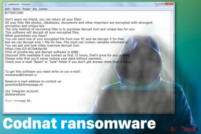 Codnat ransomware