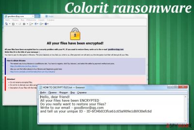 Colorit ransomware