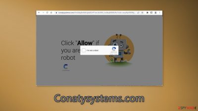 Conatysystems.com