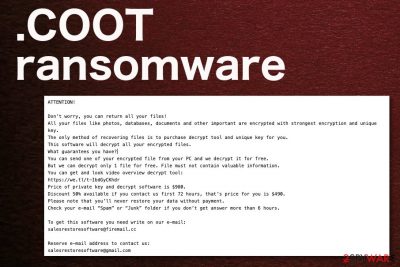 COOT ransomware