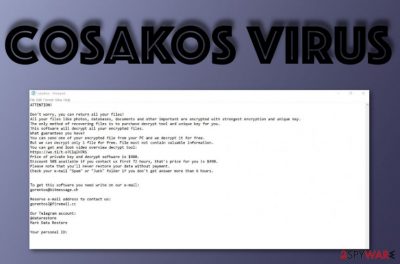 Cosakos ransomware virus