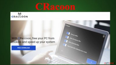 CRaccoon virus
