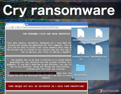 An image of the Cry ransomware virus