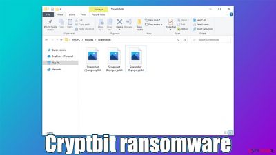 Cryptbit virus