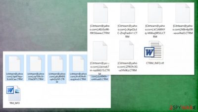 CTRM ransomware