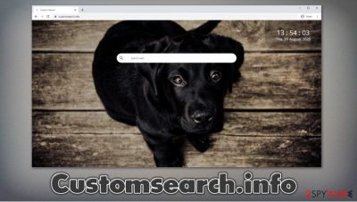 Customsearch.info