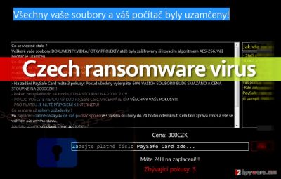 Picture of Czech ransomware screenlocker