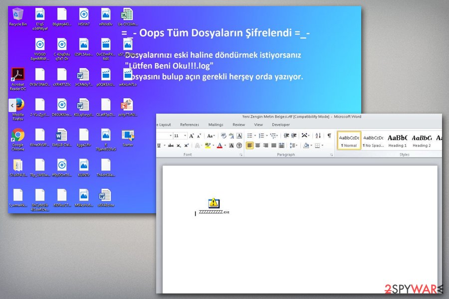 Deniz_Kizi ransomware distribution