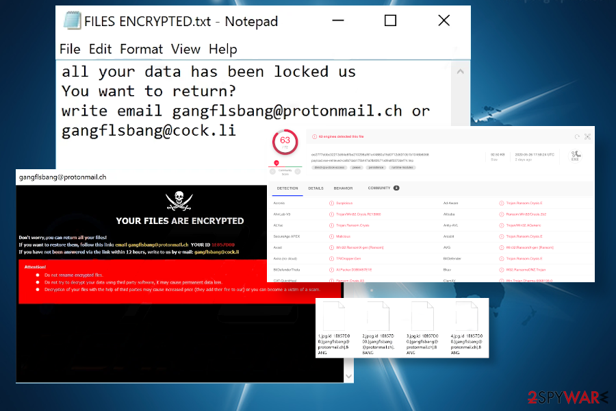 Dharma BANG ransomware virus